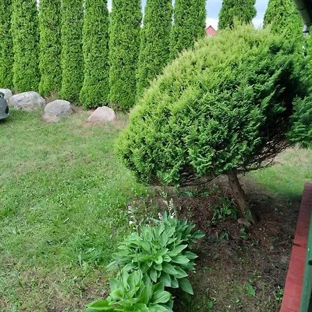 Domki Lazur Jastrzębia Góra Exterior foto